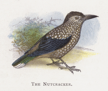 The Nutcracker (chromolitho)