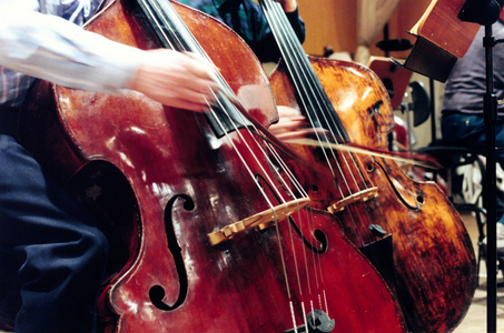 Double bass musician, 1995 (photo)