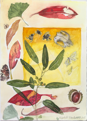 Autumn Leaves and Insects etc., 2008 (w/c on paper)