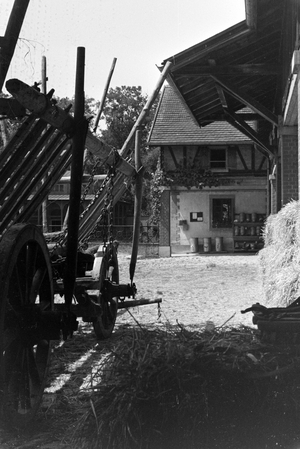 A backyard in Stuttgart, Germany 1930s (b/w photo)