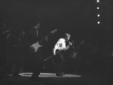 Johnny Hallyday 1964 (picture)