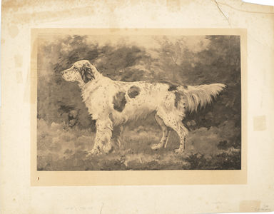 Grebeloth; two untitled head studies (3) (the first photogravure, the last two, etchings)