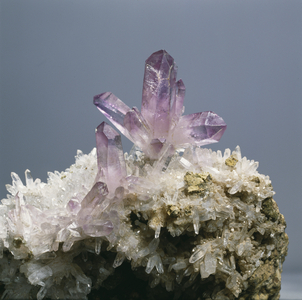 Amethyst crystals (photo)