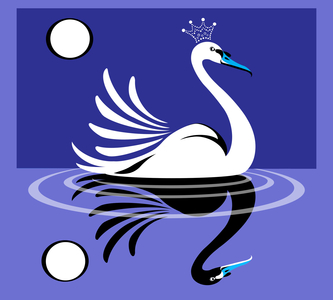 Swan Lake, 2019 (digital)