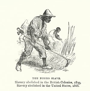The Negro Slave (engraving)