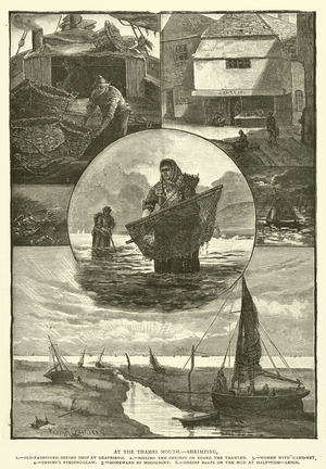 At the Thames Mouth, Shrimping (engraving)