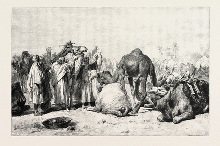 Camel Market. Egypt, Engraving 1879