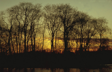 Sunset in the English Garden, 1997 (photo)