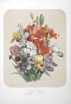 A bouquet of flowers including irises and lilies