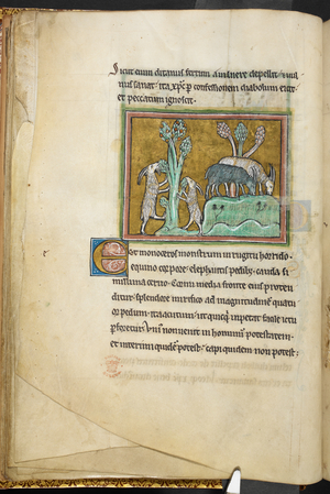 Royal 12 F.XIII, f.20v Goats grazing.Bestiary (ff. 3-141), Lapidary (ff. 141v-149)2nd quarter of the 13th century