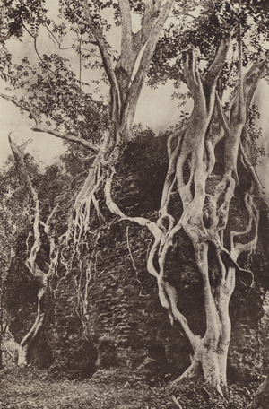 Ruined Cities of Ceylon: Kotuwa (b/w photo)