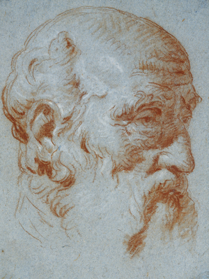 Study of the Bust of Giulio Contarini Seen from the Left (recto), (red and white chalk on blue paper)