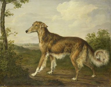 Siberian Greyhound, c.1825 (oil on canvas)