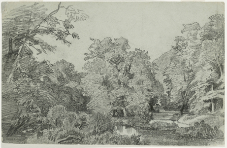 Woodland Scene with Brook (pencil on paper)