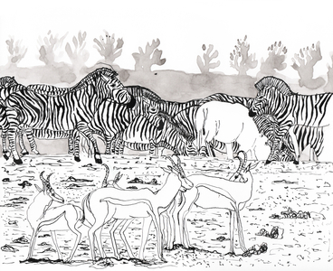Safari 3, 2018 (ink and watercolour)