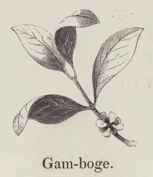 Gamboge (engraving)