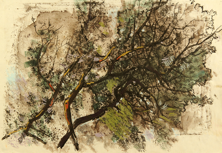 Branches, 1965 (tempera on paper)