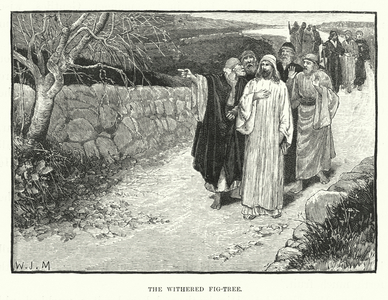 The Withered Fig-Tree (engraving)