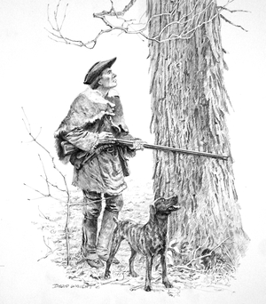 Searching the Treetops