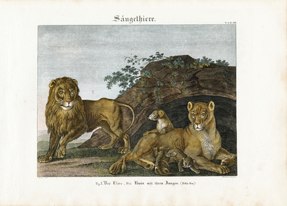 Lion Family in Their Natural Habitat, 1821 (lithography)