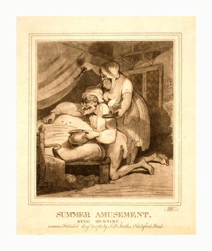 Summer Amusement, Bugg  Hunting, Old Couple Catching Bedbugs. En Sanguine Engraving