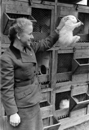 III Reich, compulsory year for girls in agriculture and home economics, 1938 (photo)