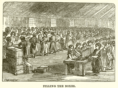 Filling the Boxes (engraving)