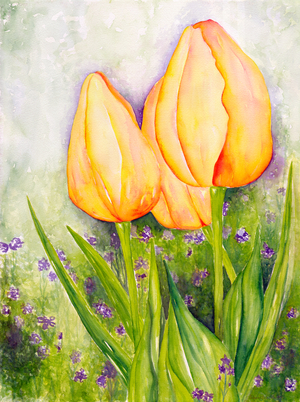 Yellow Tulips, 2006 (watercolor)