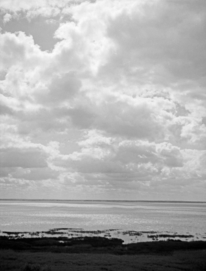 View from the Frische Nehrung bay bar to Vistula Lagoon, East Prussia, 1930s (b/w photo)