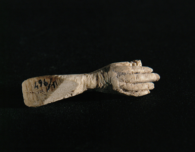 Right hand with forearm