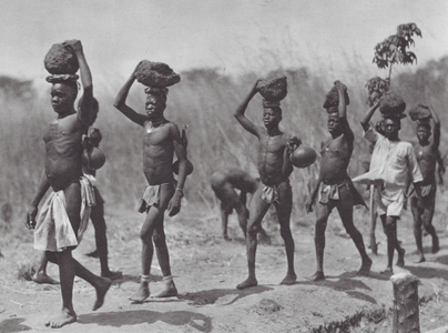 Africa: Natives transporting material for building a bridge (b/w photo)