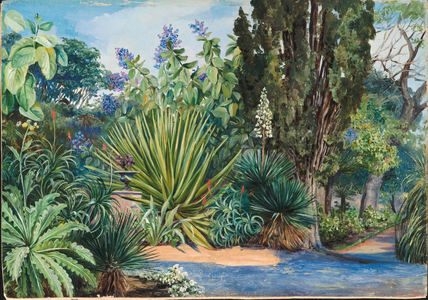 View in the Garden of Acclimatisation, Teneriffe, 1880 (oil on board)