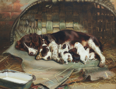 Motherhood - A Springer Spaniel and Her Litter (oil on canvas)