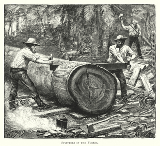 Australia: Splitters in the Forest (engraving)