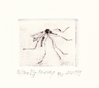 Mosquito, 1999 (drypoint)