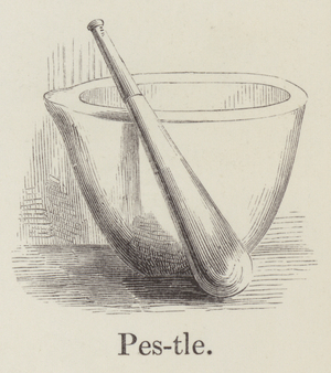 Pestle (engraving)