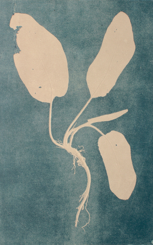 Big Dock, 2019 (mono-print paper)