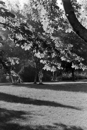 Holidays in the Black Forest, Germany 1930s (b/w photo)