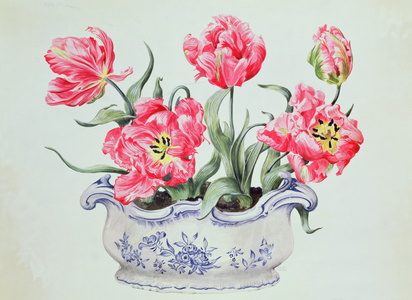 Tulip Bowl (w/c on paper)