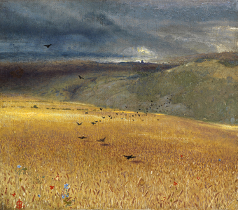 Wheatfield (oil on canvas)