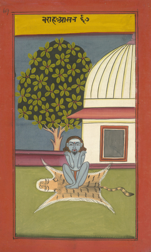 A yogi