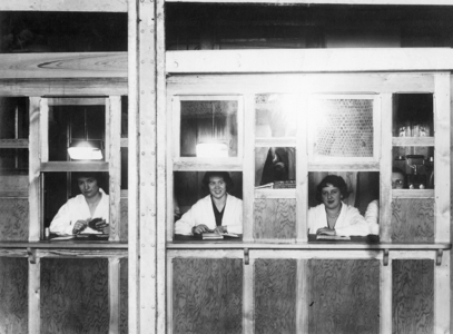 Cashiers in the Berlin stockyard, 1929 (b/w photo)