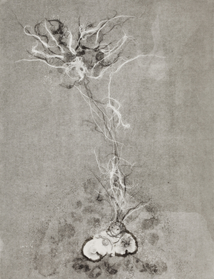 Fragility 4, 2009, (monotype)
