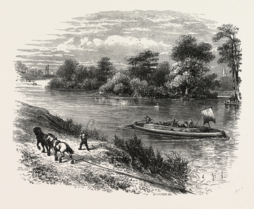 Magna Charta Island, UK, 19th Century Engraving
