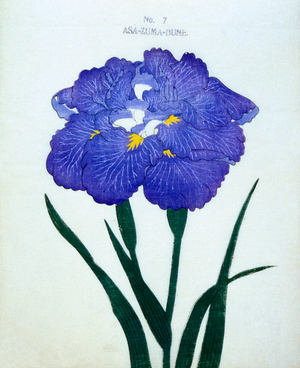 Asa-Zuma-Bune, no.7, 1898 (colour litho)