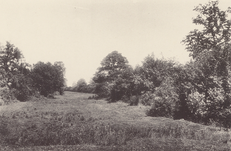 Stevenage: Norton Green (b/w photo)