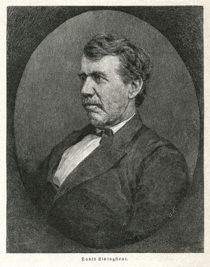 David Livingstone (1813-73), Scottish Missionary and Explorer, Portrait (b/w photo)