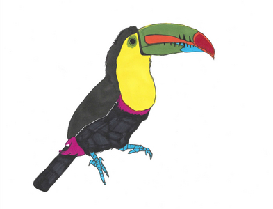 Toucan, 2024 (pen on paper with photoshop)