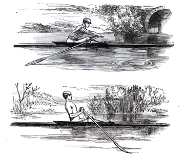 A young man sculling
