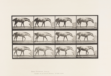 Plate 657. Rolling a Box; Pony, Lotta, 1885 (collotype on paper)
